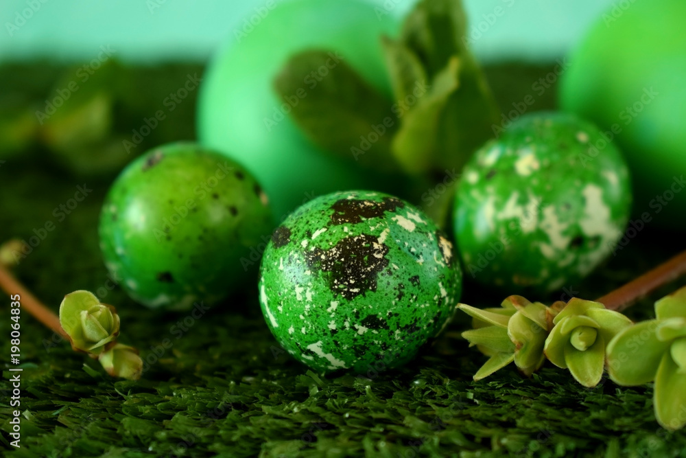 Quail and chicken eggs coloured green on the grass Quail and chicken eggs coloured green on the grass