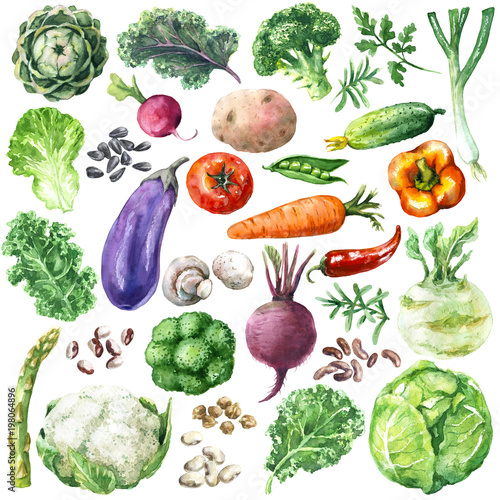 Watercolor  Vegetables Set photo