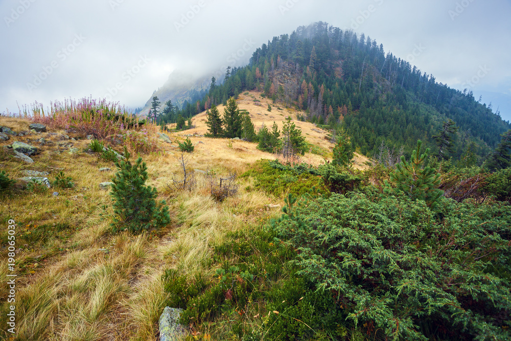 Serene landscape in the mountains of Montenegro Serene landscape in the mountains of Montenegro