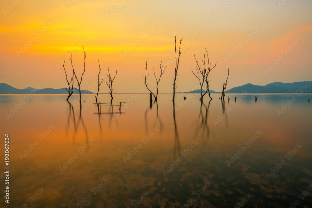 Twilight scenery of the perennial trees died in the water at the reservoir in Thailand.