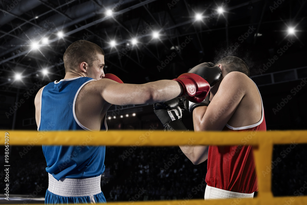 Two professional boxer boxing Two professional boxer boxing