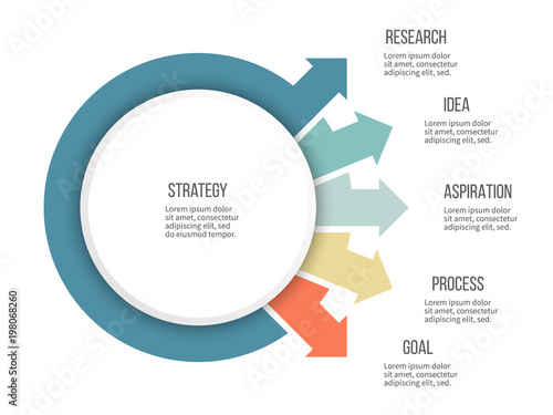 Business infographics. Organization chart with 5 options, arrows. Vector template.