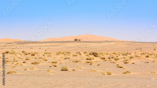 Sahara  Morocco