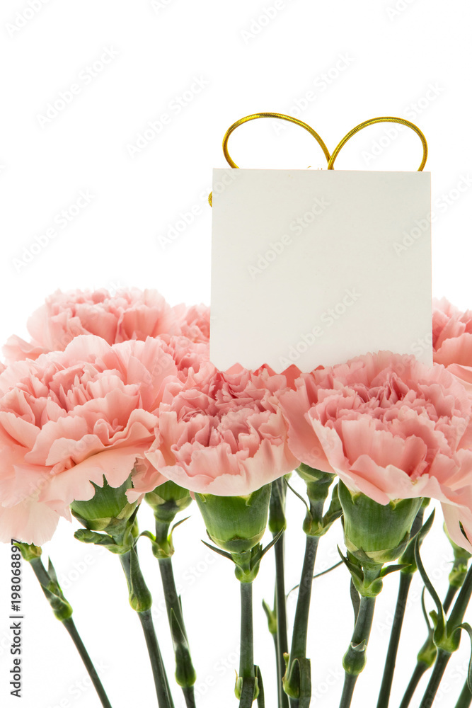 Happy Mother's Day, carnations representing mothers are in full bloom, and pink carnations are sent. Happy Mother's Day, carnations representing mothers are in full bloom, and pink carnations are sent.