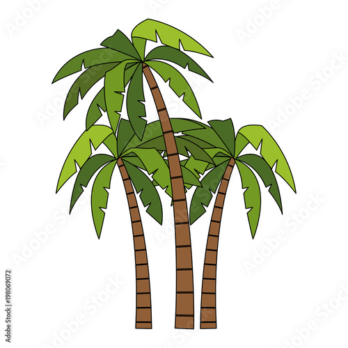 Tree palms cartoons vector illustration graphic design