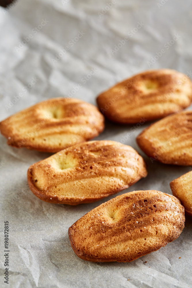 Sweet almond cookies put in rows on white paper background, close-up, selective focus