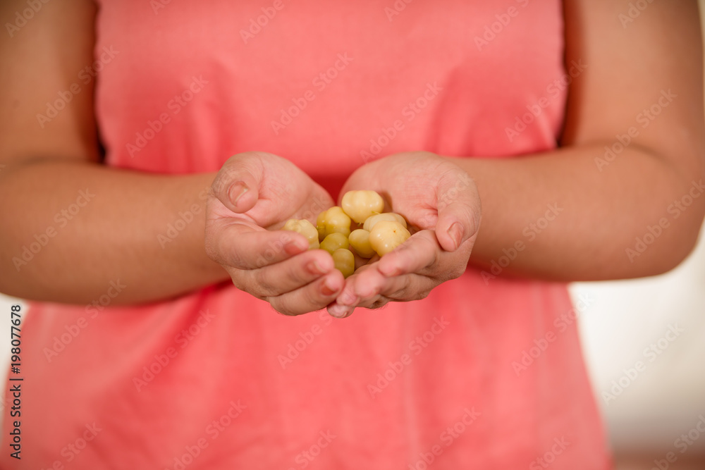 Close up of woman holding in both hands a star gooseberry fruit. Phyllanthus acidus, known as the Otaheite gooseberry, star, grosella, karamay Close up of woman holding in both hands a star gooseberry fruit. Phyllanthus acidus, known as the Otaheite gooseberry, star, grosella, karamay