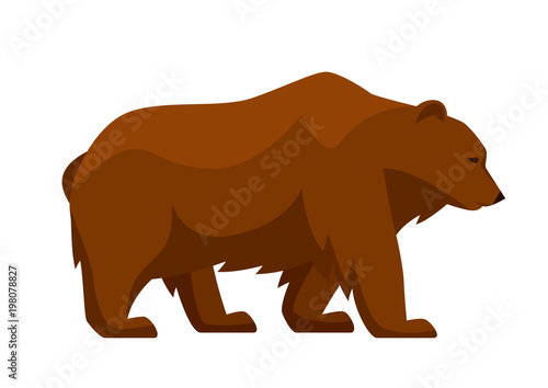 Stylized illustration of bear. Woodland forest animal on white background