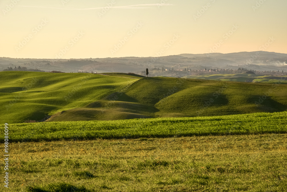 View of the tuscan countryside in spring at sunset