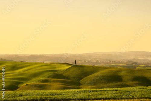 Fototapeta Naklejka Na Ścianę i Meble -  View of the tuscan countryside in spring at sunset