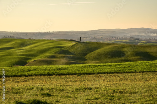 View of the tuscan countryside in spring at sunset