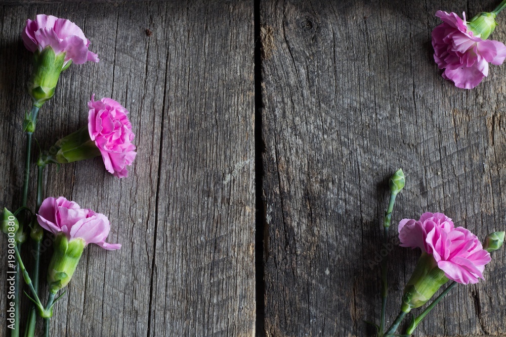 pink carnations flowers on wooden, vintage background - flat lay