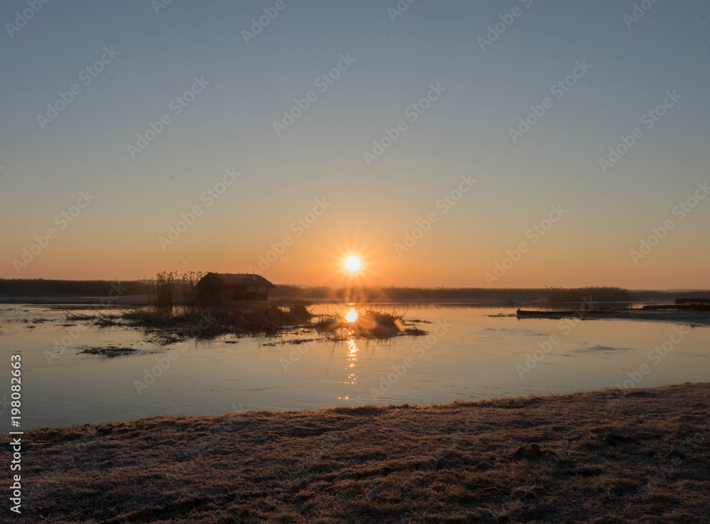 the sun rises red over marshlands and swamps with birds resting on the water and among the reeds