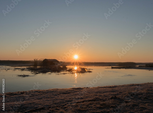the sun rises red over marshlands and swamps with birds resting on the water and among the reeds