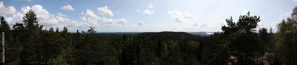 Forest panorama in south Sweden