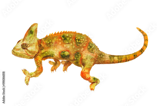 Watercolor green and orange chameleon