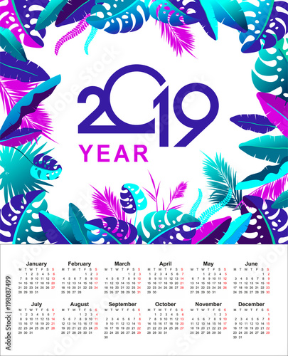 tropical calendar 2019 year photo