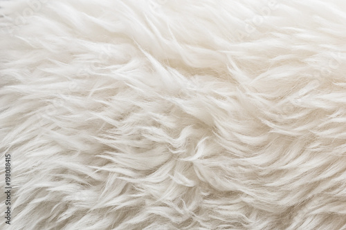 White soft wool texture background, cotton wool, light natural sheep wool, close-up texture of white fluffy fur,  wool with beige tone, fur with a delicate peach tint photo