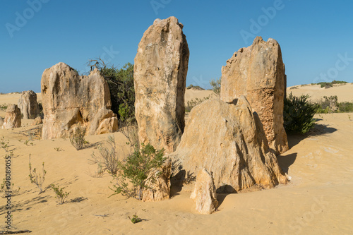 Nambung National Park, Western Australia