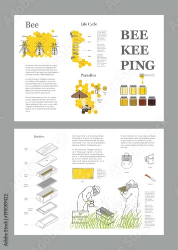 Beekeeping honey vector template with apiculture equipment, beekeeper, smoker, beehive, bee, honeycomb, illustrating the life cycle of a bee, bee parasites, honey gathering