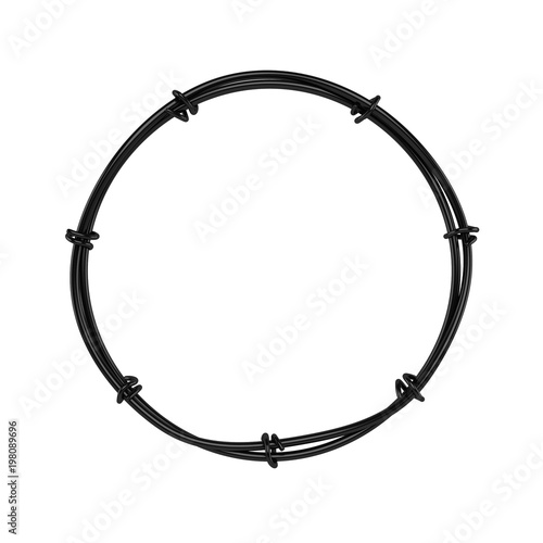 Circular Wire 3D Rendering