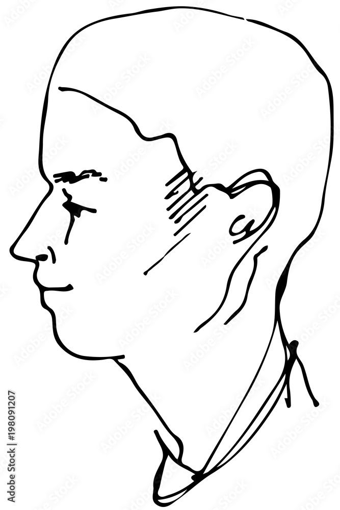 vector sketch of a beautiful man profile vector sketch of a beautiful man profile