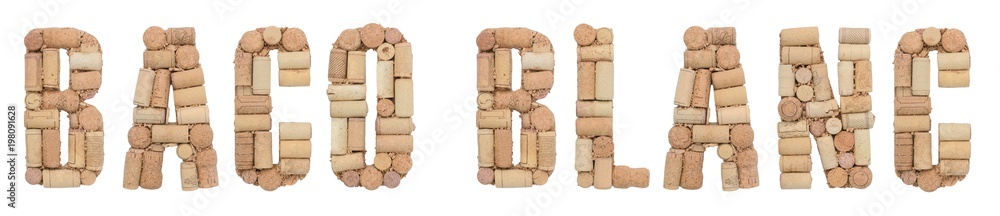 Grape variety Baco blanc made of wine corks Isolated on white background