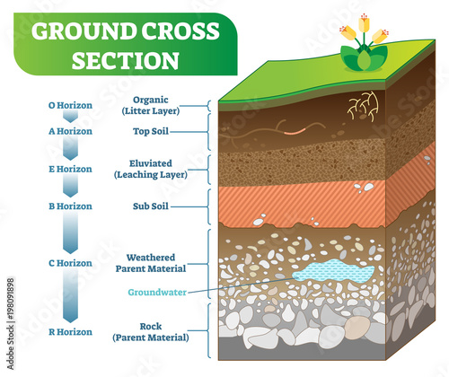 Ground Cross Section vector illustration with organic, topsoil, subsoil and other horizon levels.