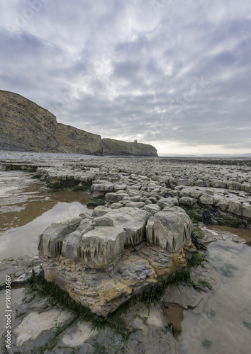 Limestone Pavement at Lilstock photo