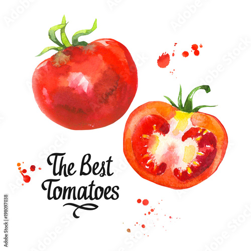 watercolor vegetables illustrations. Fresh organic food. Set of red tomatoe. Simple painting sketch.