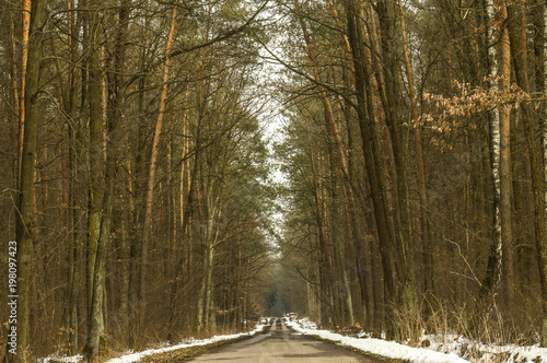 Fototapeta Naklejka Na Ścianę i Meble -  Droga