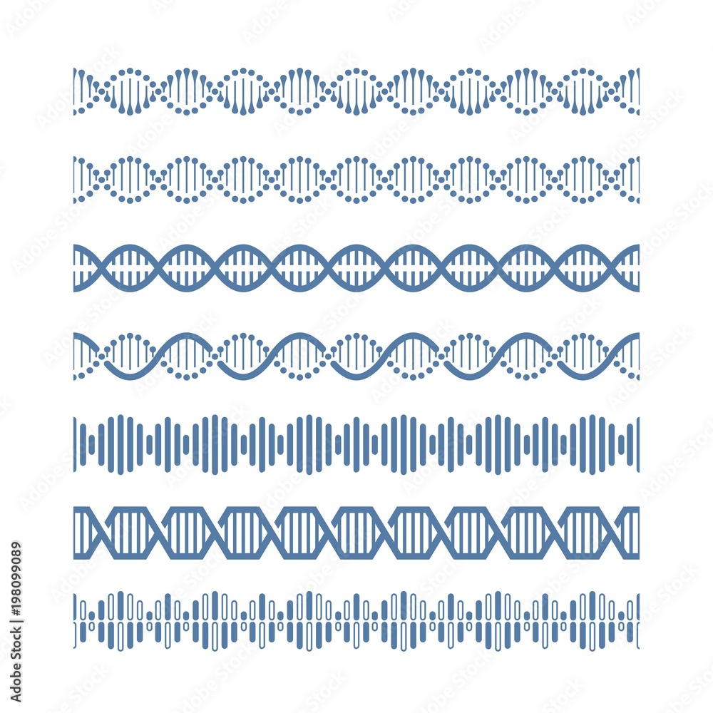 Human genome structural model dna vector seamless pattern brushes Human genome structural model dna vector seamless pattern brushes