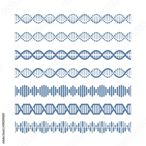 Human genome structural model dna vector seamless pattern brushes