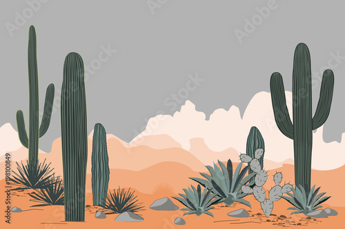 Mexico pattern with opuntia, agave, and saguaro cacti. Mountains background.