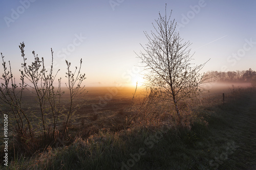 a foggy morning sunrise at Friesland Netherlands