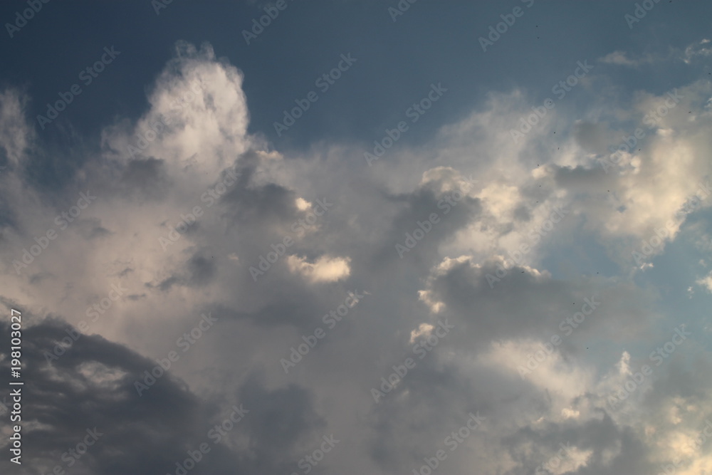 Wolkenbild Adler