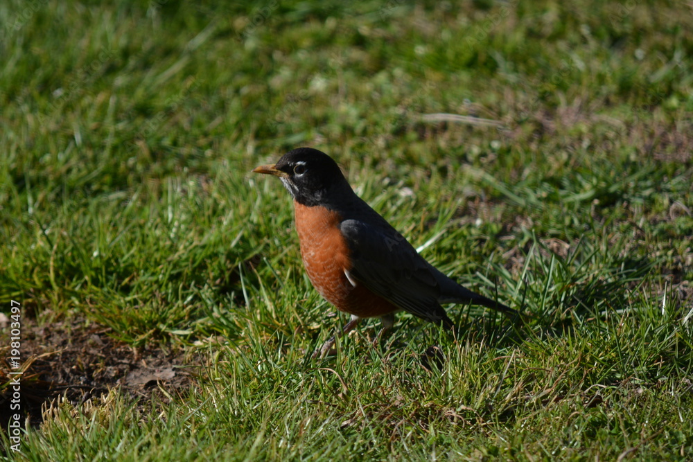 I think that FEMALE just looked my way. I think that FEMALE just looked my way.