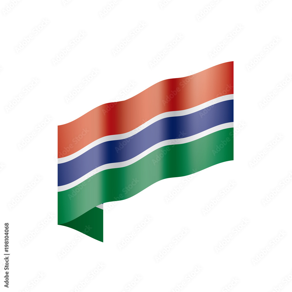 Obraz premium Gambia flag, vector illustration