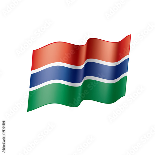 Gambia flag  vector illustration