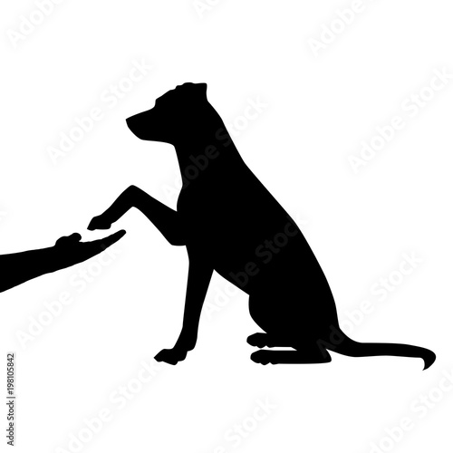 Dog as a friend