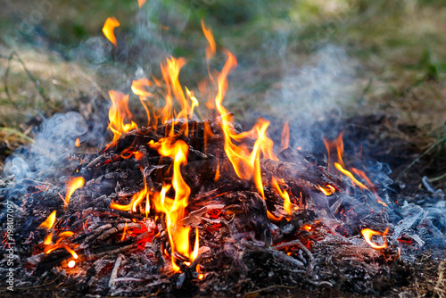 Photo of the fire. Burning fire with tongues of flame. Burning branches smolder in the fire. Big bonfire for a picnic on a summer day. The texture of a natural fire.