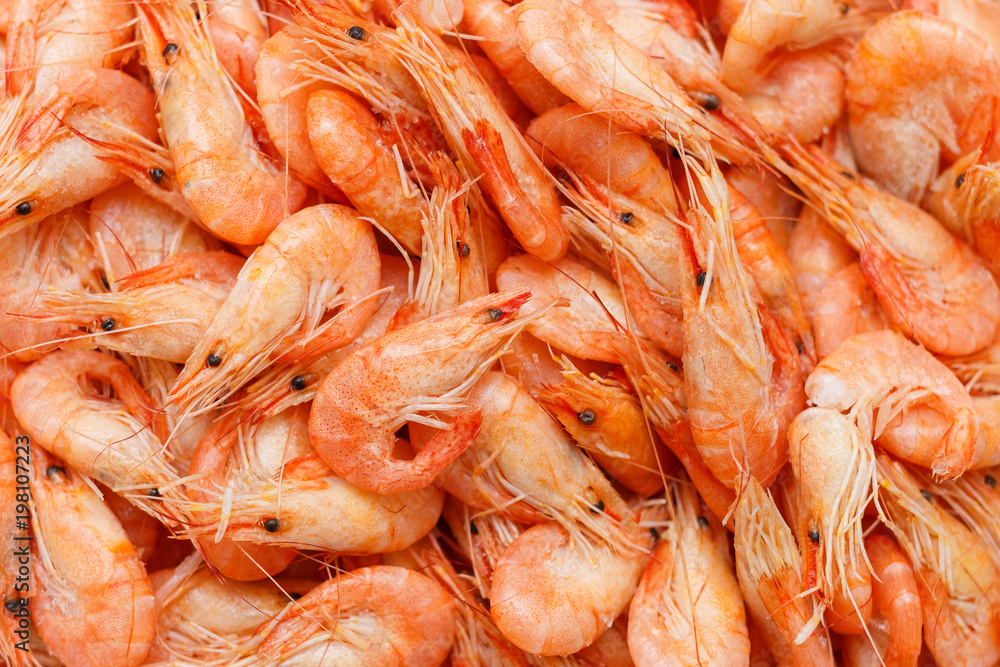 Shrimp. Shrimps lie on a plate. Boiled ready-to-eat shrimp. A large dish of small shrimps. Shrimp. Shrimps lie on a plate. Boiled ready-to-eat shrimp. A large dish of small shrimps.