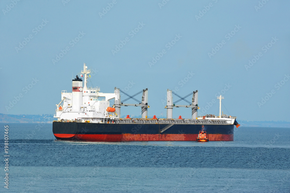 Pilot assisting bulk cargo ship