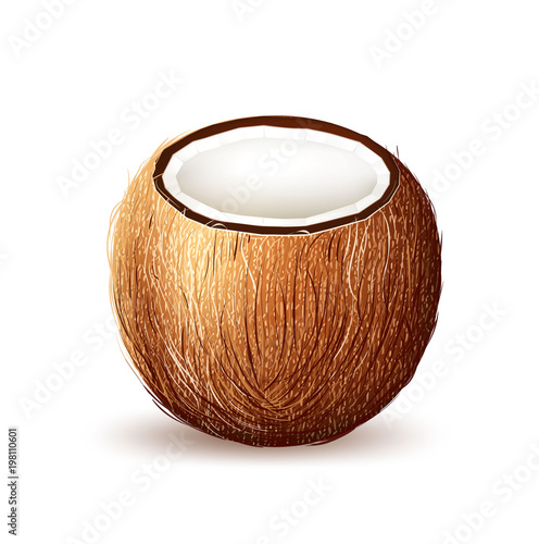 Vector realistic coconut exotic fruit 3d
