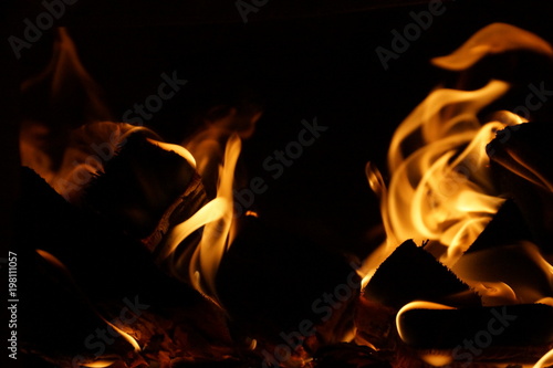 fire wood. burning wood. fireplace