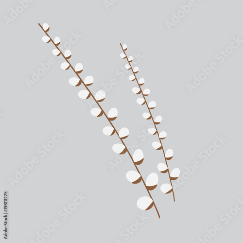 willow branches on grey background