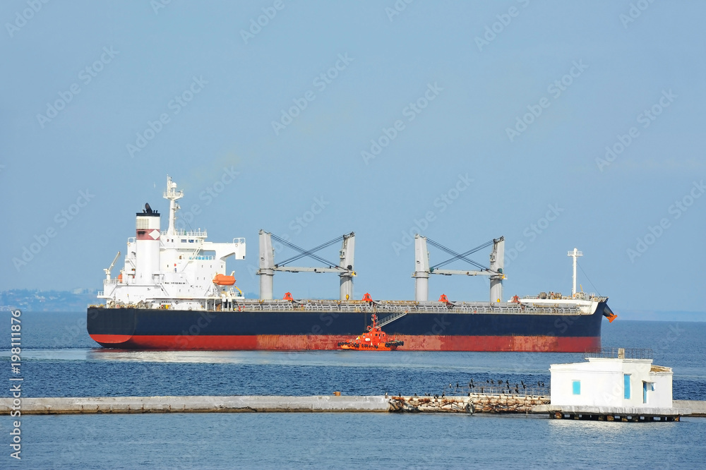 Pilot assisting bulk cargo ship Pilot assisting bulk cargo ship