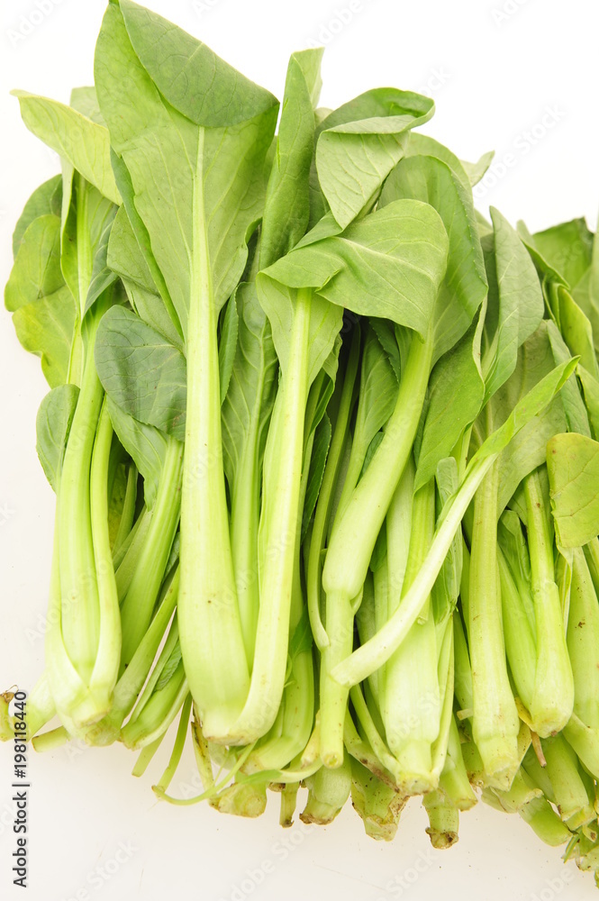 Chinese cabbage Chinese cabbage