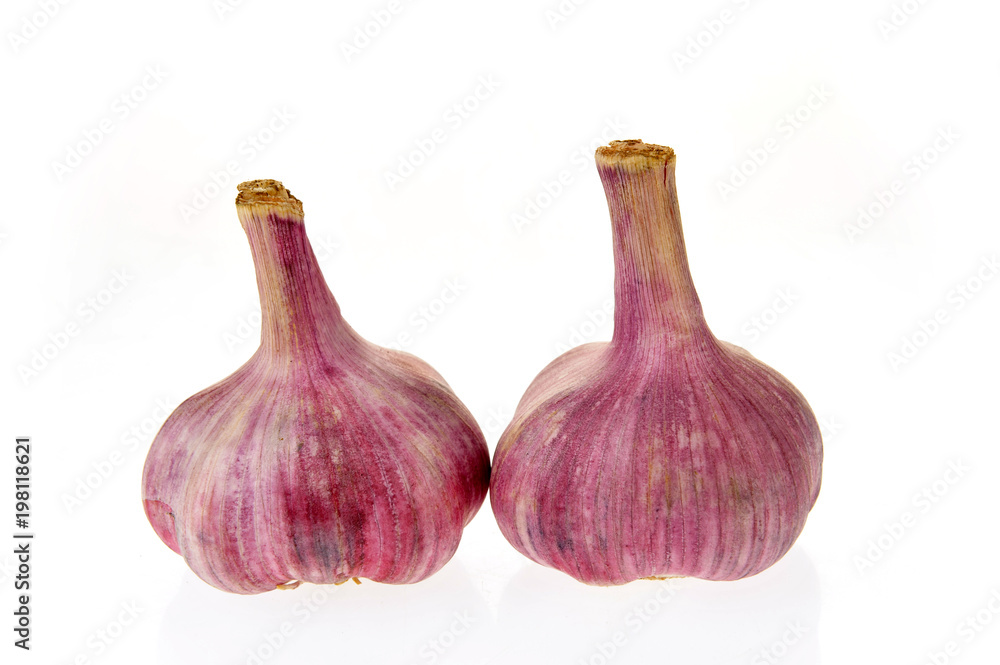 Fototapeta premium Garlic isolated on white background