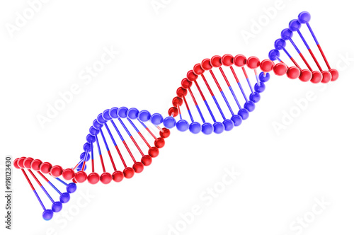 DNA Helix Isolated on White Background 3D Illustration